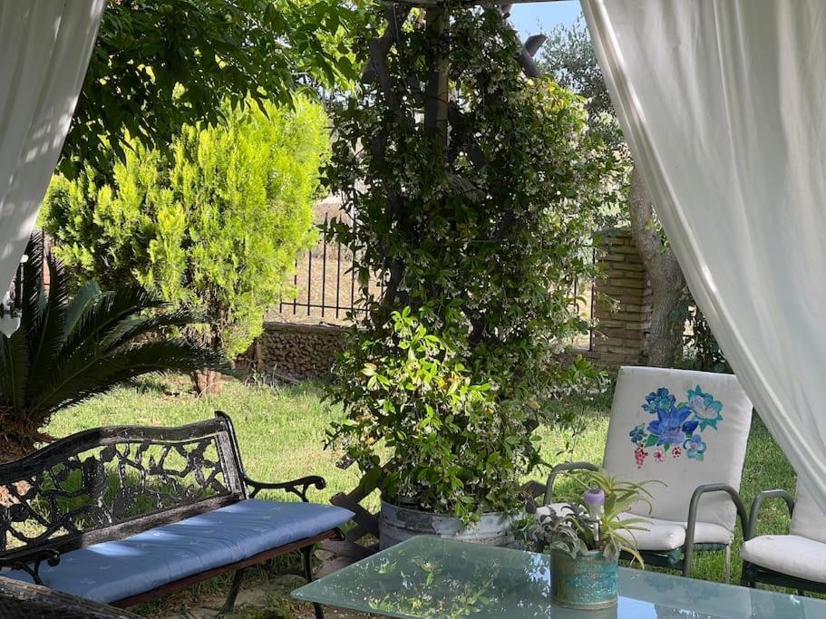 Mama'S Sunshine Garden Villa Agios Ilias  Bagian luar foto