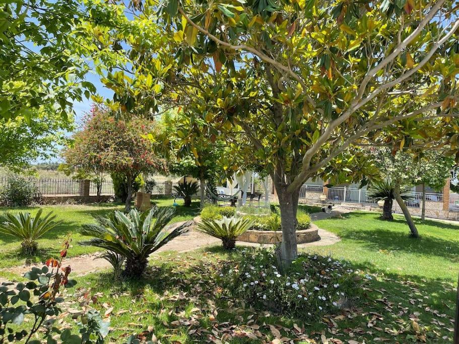 Mama'S Sunshine Garden Villa Agios Ilias  Bagian luar foto