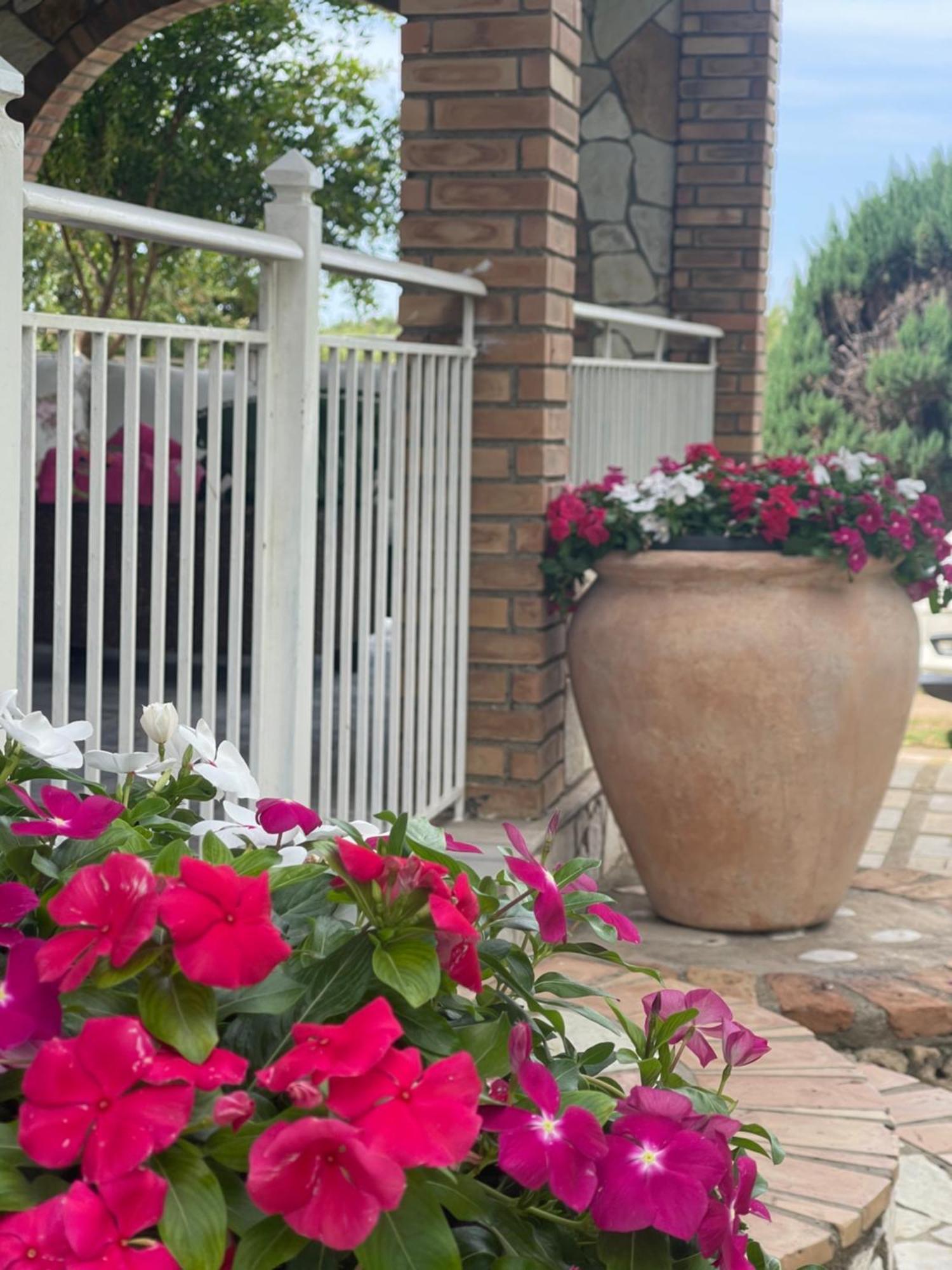 Mama'S Sunshine Garden Villa Agios Ilias  Bagian luar foto