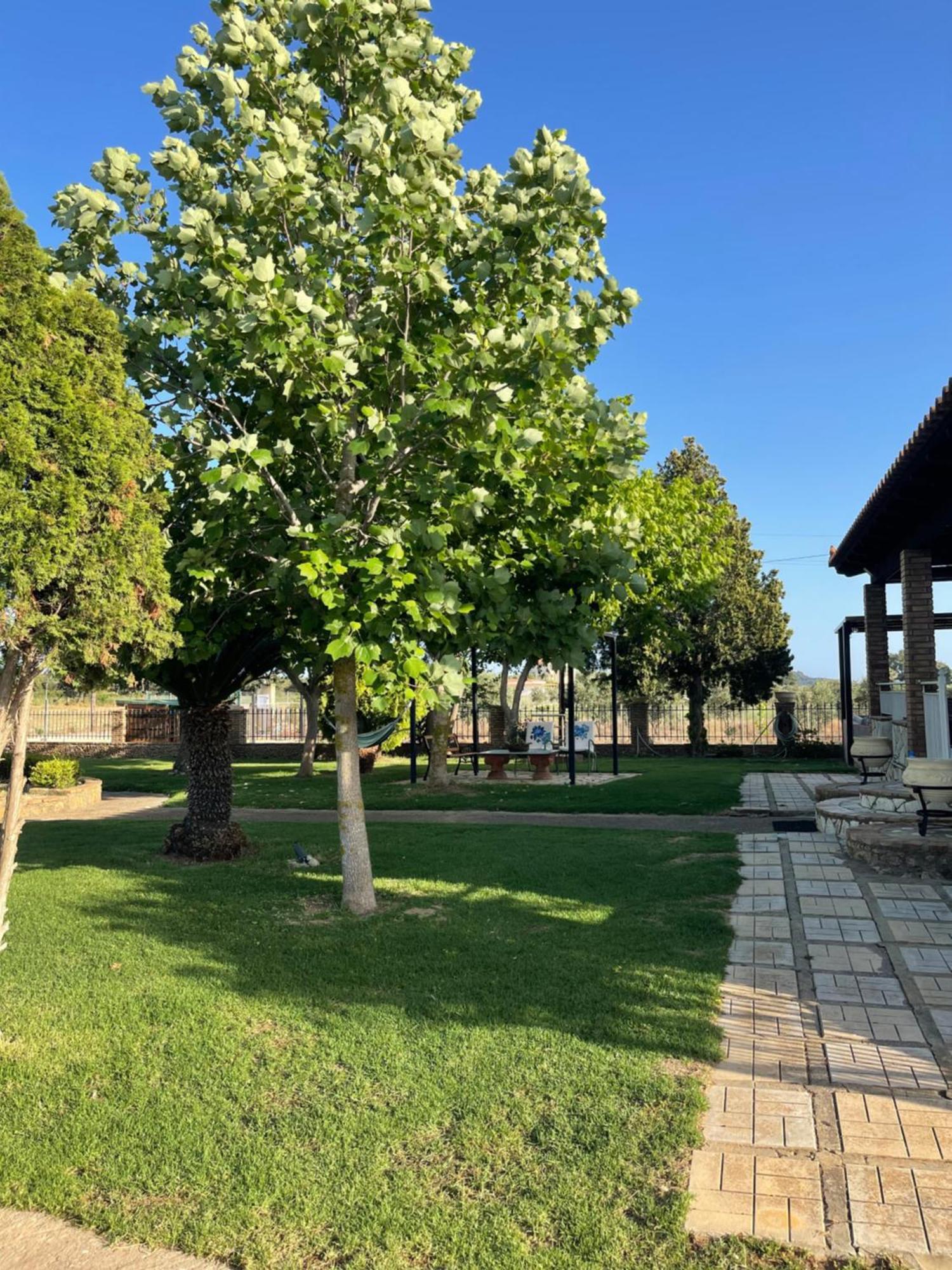 Mama'S Sunshine Garden Villa Agios Ilias  Bagian luar foto